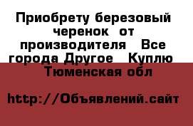 Приобрету березовый черенок  от производителя - Все города Другое » Куплю   . Тюменская обл.